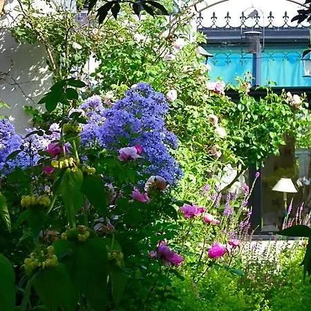 La Colline Des Roses Oda ve Kahvaltı