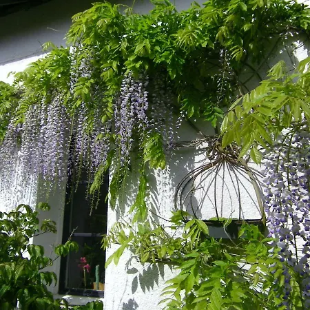 Bed & Breakfast La Colline Des Roses